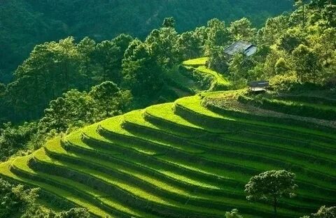 Xu hướng Loài cá kỳ lạ nhất châu Phi:: Hotspot Matrix tiết lộ bí quyết video viral_Ý tưởng sáng tạo nội dung