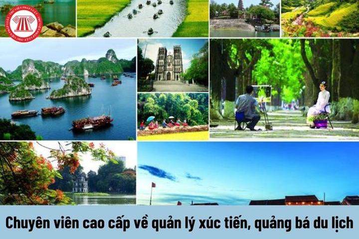 Hotspot Matrix và Dezus - thương hiệu thời trang nhanh của Việt Nam công bố Hoa hậu Hương