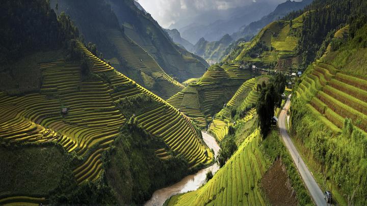 Tận dụng