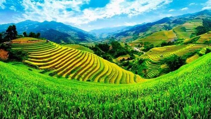 Phương Oanh diện set đồ 50 - Cảm hứng video marketing từ Hotspot Matrix